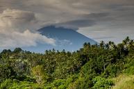 volcano-costa-rica-palm-trees-384667.jpg