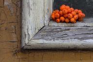 still-life-front-door-wood-old-943416.jpg