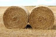 straw-harvest-halmbal-feed-417381.jpg