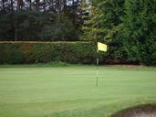 golf-course-green-hole-sport-club-72555.jpg