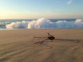 driftwood-ocean-wave-sunset-beach-1376956.jpg