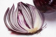 onion-allium-cepa-red-onion-sliced-276589.jpg