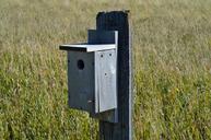 bird-house-wooden-wood-prairie-937603.jpg