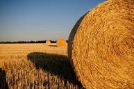 straw-bales-stubble-summer-straw-726977.jpg