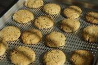 cookies-cool-down-sunshine-shadow-639000.jpg