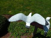 seagulls-yard-ornament-birds-276523.jpg