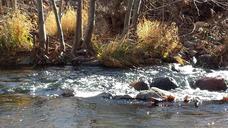 sedona-arizona-stream-landscape-248299.jpg