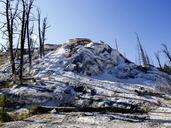 yellowstone-national-park-wyoming-207597.jpg