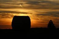 straw-tree-straw-bale-pasture-871828.jpg