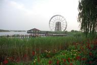 windmill-lake-reed-668262.jpg