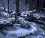 forest-brook-winter-swedish-nature-648512.jpg