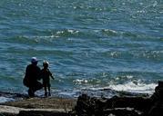 lake-water-father-son-boy-family-143365.jpg