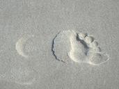 footprint-sand-beach-footprints-1237955.jpg