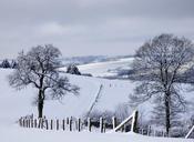 winter-landscape-snow-trees-winter-623606.jpg