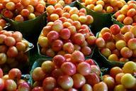 cherries-yellow-fruits-fresh-54376.jpg