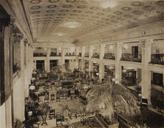 Mount_Royal_Hotel_Lobby,_looking_south_(HS85-10-41103).jpg