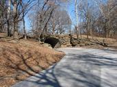 road-tunnel-trees-woods-deciduous-16852.jpg