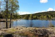 oslo-nordmarka-sognsvann-visitoslo-957829.jpg