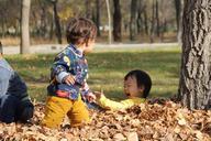 happy-kids-autumn-718500.jpg