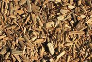 Gfp-wood-chips.jpg