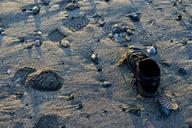 shoe-beach-abandoned-path-walk-1317700.jpg