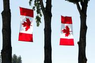 canada-day-canada-flag-celebration-1485418.jpg