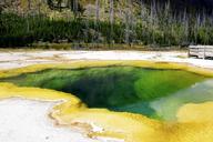 yellowstone-national-park-whyoming-58525.jpg