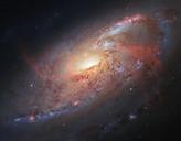 spiral-galaxy-m106-stars-cosmos-1060381.jpg