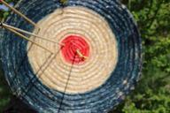 target-arrow-middle-bull-s-eye-755801.jpg