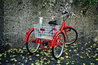 tricycle-bike-wheel-nostalgia-944472.jpg