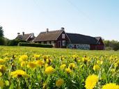 dandelion-house-himmel-old-farm-916829.jpg