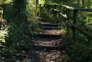 hiking-away-level-stairs-light-983100.jpg