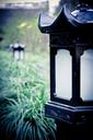 lamp-grassland-black-green-white-687010.jpg