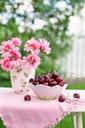 cherries-in-a-bowl-fruit-summer-773022.jpg