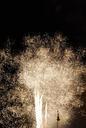 fireworks-valencia-failures-crida-358539.jpg