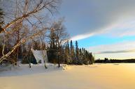 winter-landscape-trees-birch-snow-584601.jpg