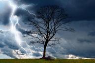 tree-storm-sky-lightning-rain-164025.jpg