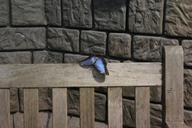 butterfly-lake-dusia-wall-bench-600358.jpg