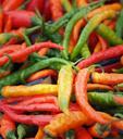 peppers-hot-spicy-red-food-chili-1083566.jpg