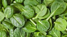 spinach-organic-healthy-1501218.jpg