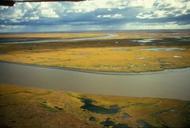 Aerial view of tundra turning golden in the fall.jpg