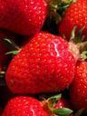 strawberry-red-fruity-delicious-499119.jpg