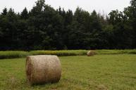 straw-bale-field-forest-agriculture-866731.jpg