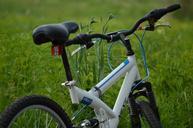 bicycle-bike-ride-adventure-summer-615710.jpg