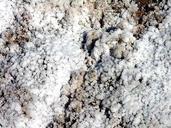 Salt crystals (1).jpg