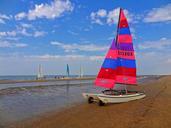 sailing-catamaran-catamaran-sailing-567682.jpg