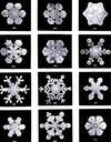 crystals-ice-crystal-snow-ice-67792.jpg