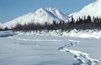 Human footprints in snow.jpg