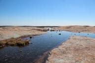 Arabia Mountain pool.JPG