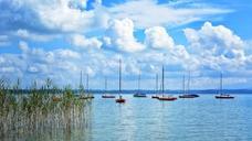 sailing-boats-port-boats-boat-masts-931518.jpg